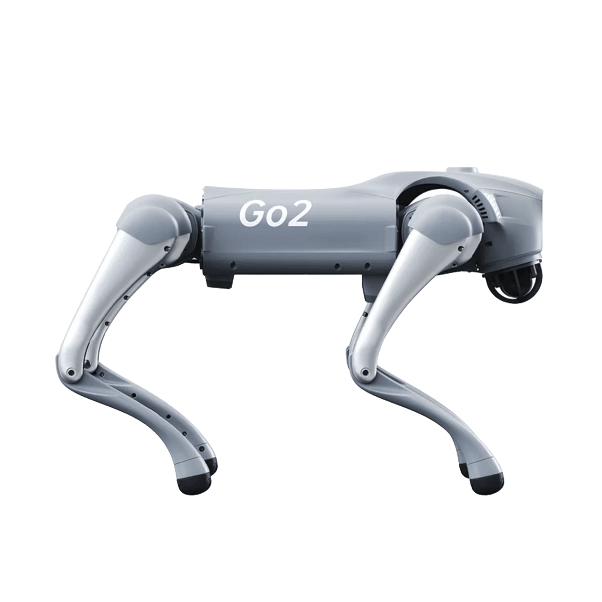 GO2PRO-AD-3-h