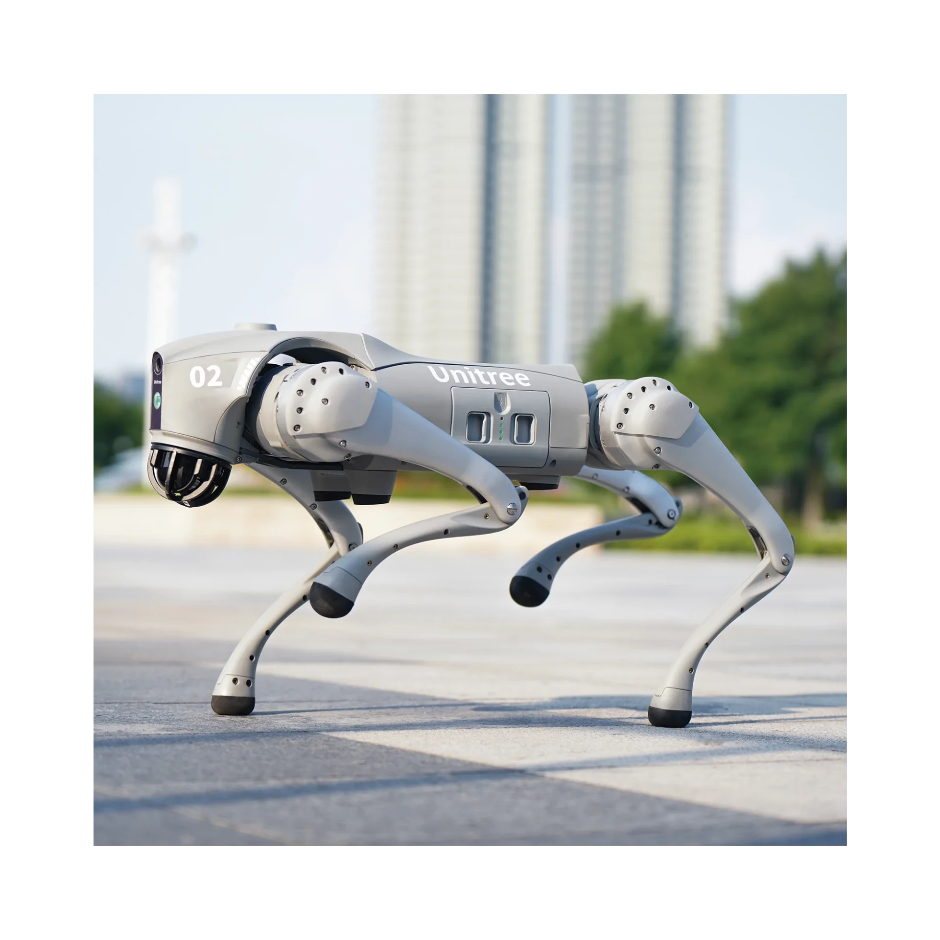 GO2PRO-AD-4-h